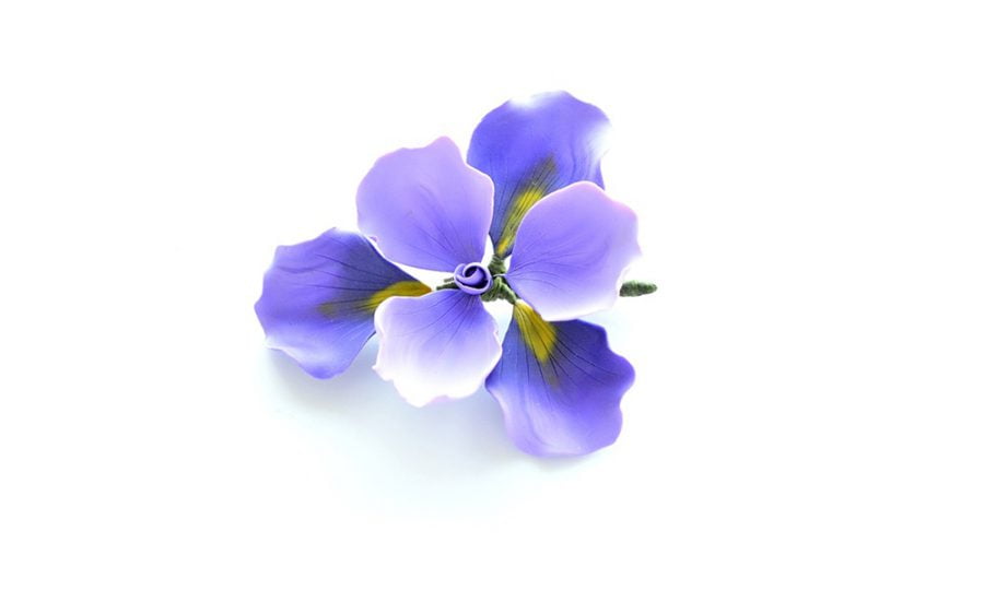 Irisul Brosa Supradimensionata