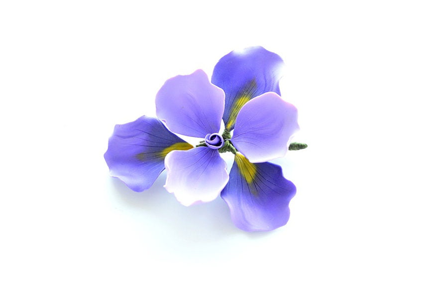 Irisul Brosa Supradimensionata